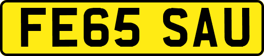 FE65SAU