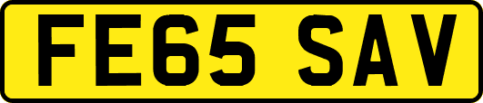 FE65SAV