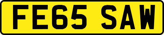 FE65SAW
