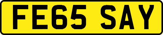 FE65SAY