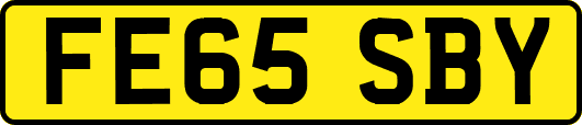 FE65SBY