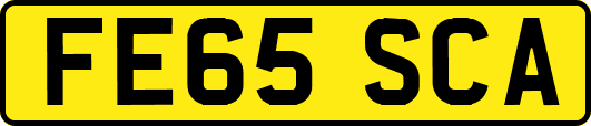 FE65SCA