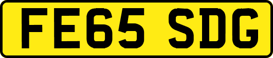 FE65SDG