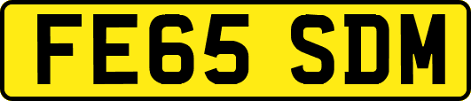 FE65SDM