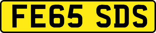 FE65SDS