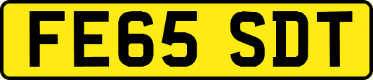 FE65SDT