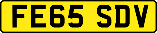 FE65SDV