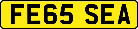 FE65SEA