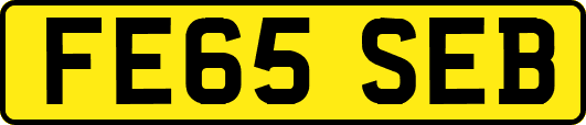 FE65SEB