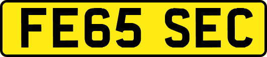 FE65SEC