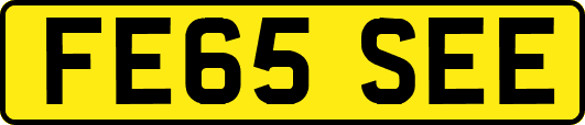 FE65SEE