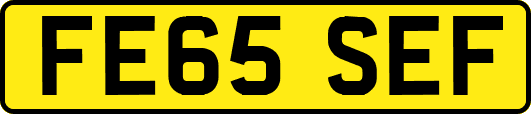 FE65SEF
