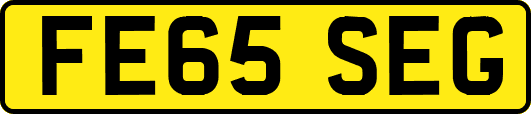 FE65SEG