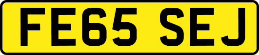 FE65SEJ