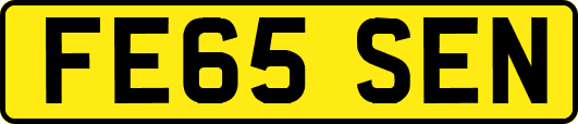 FE65SEN