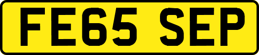 FE65SEP