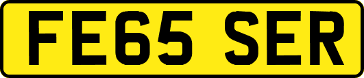 FE65SER