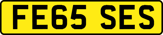 FE65SES