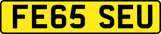 FE65SEU