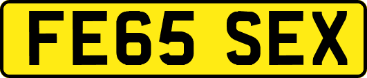 FE65SEX