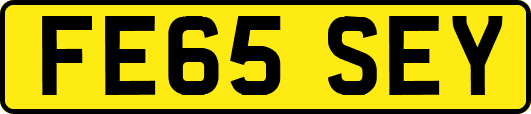 FE65SEY