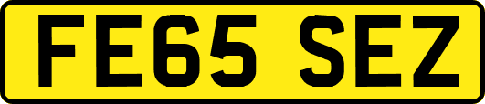 FE65SEZ