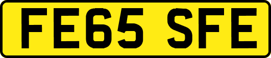 FE65SFE