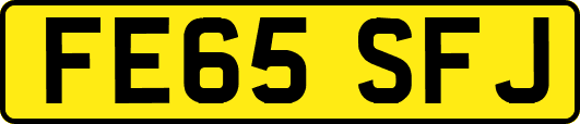 FE65SFJ