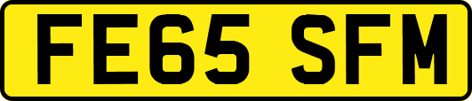 FE65SFM