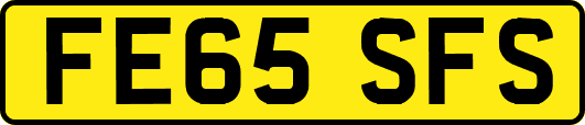FE65SFS