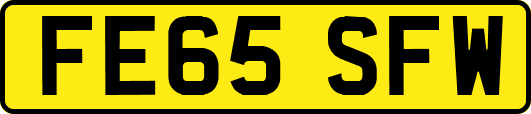 FE65SFW