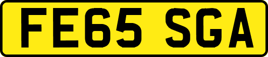 FE65SGA