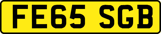 FE65SGB