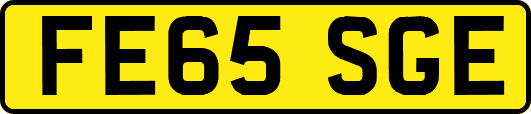 FE65SGE