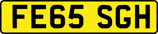 FE65SGH