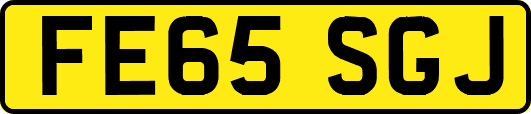 FE65SGJ