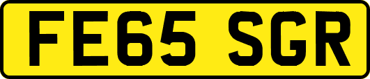 FE65SGR