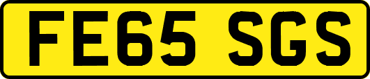 FE65SGS