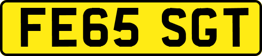 FE65SGT