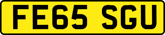 FE65SGU