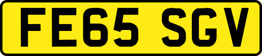 FE65SGV