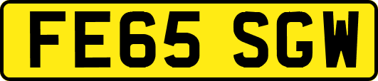 FE65SGW