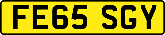 FE65SGY