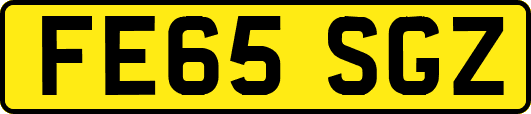 FE65SGZ