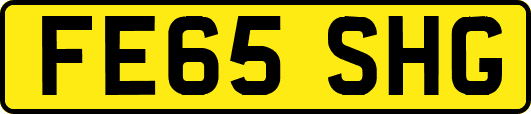 FE65SHG