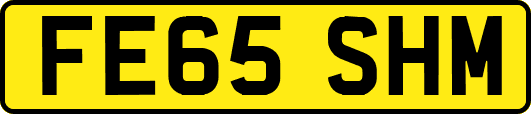 FE65SHM