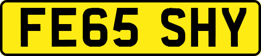 FE65SHY