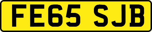 FE65SJB