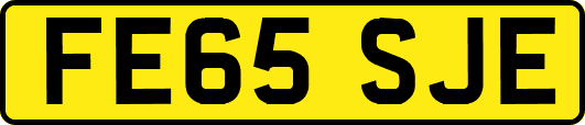 FE65SJE