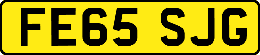 FE65SJG
